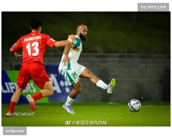 井上瑞树击败阿莫林 女子草量级迎来新格局变动